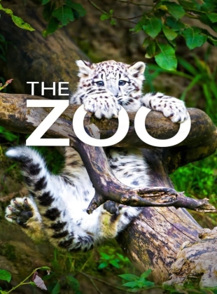 Regarder The Zoo - Saison 4 en streaming complet