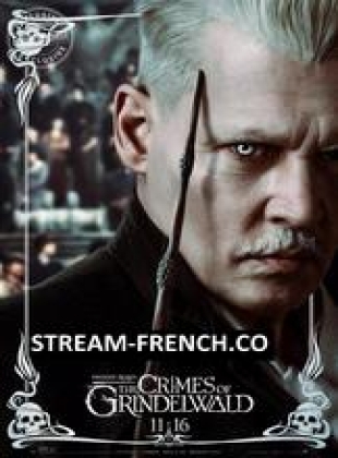 Regarder Les Animaux fantastiques - Les crimes de Grindelwald en streaming complet