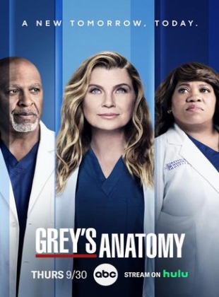 Regarder Grey's Anatomy - Saison 18 en streaming complet