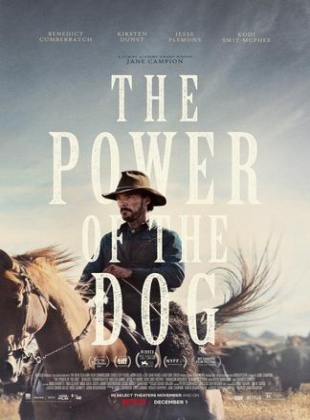 Regarder The Power of the Dog en streaming complet